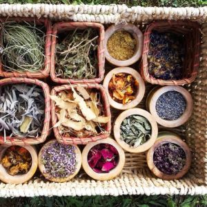 Cuisine vitalité et naturopathie